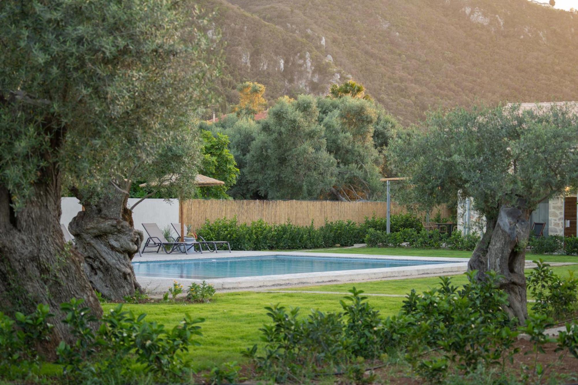 LefkádaYannis Retreatアパートメント エクステリア 写真